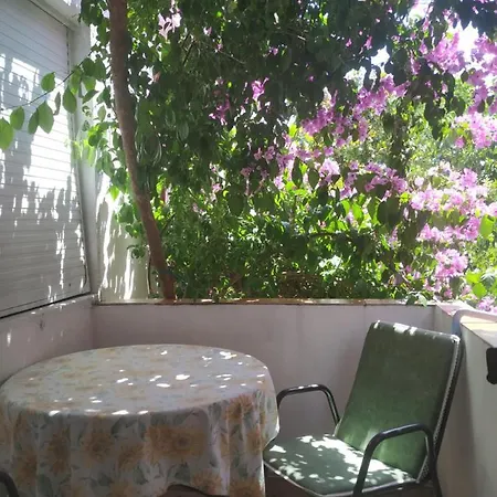 Apartmani Abeona Budva Exterior photo